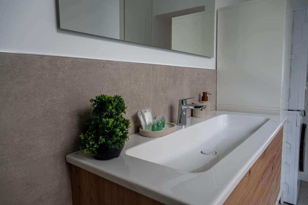 Le Solfe -Magnifique T2 Apartment ลีลล์ ภายนอก รูปภาพ